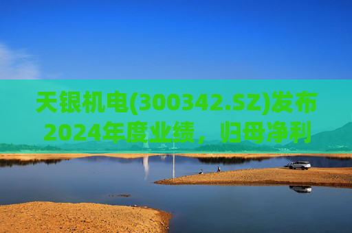 天银机电(300342.SZ)发布2024年度业绩，归母净利润9040.74万元，同比增长175.80%