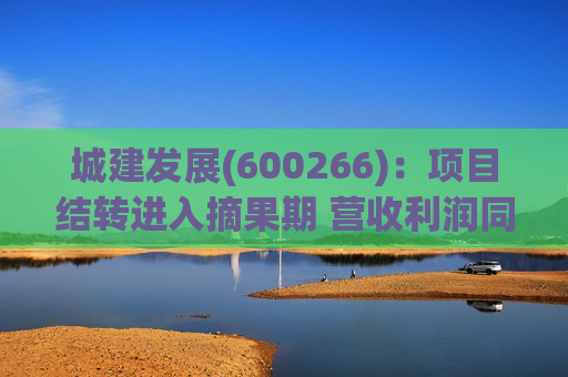 城建发展(600266)：项目结转进入摘果期 营收利润同比大幅提升