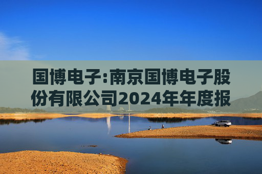 国博电子:南京国博电子股份有限公司2024年年度报告