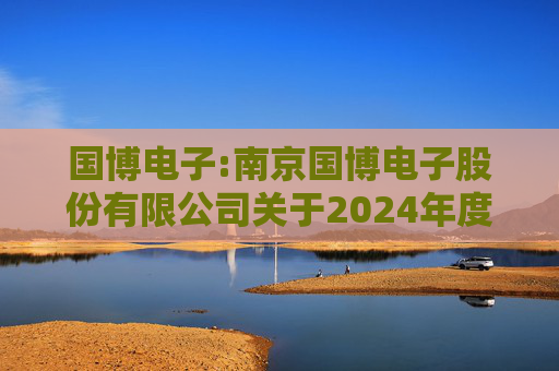 国博电子:南京国博电子股份有限公司关于2024年度募集资金存放与使用情况的专项报告