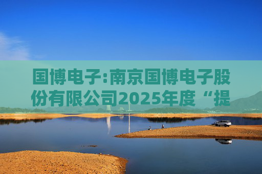 国博电子:南京国博电子股份有限公司2025年度“提质增效重回报”行动方案