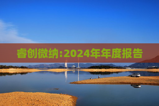 睿创微纳:2024年年度报告
