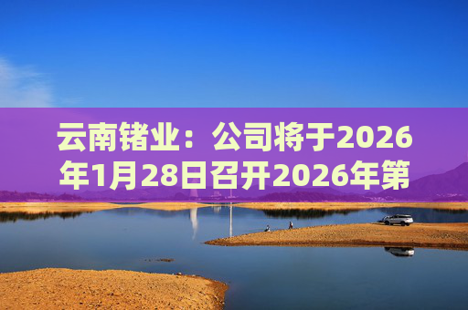云南锗业：公司将于2026年1月28日召开2026年第一次临时股东会