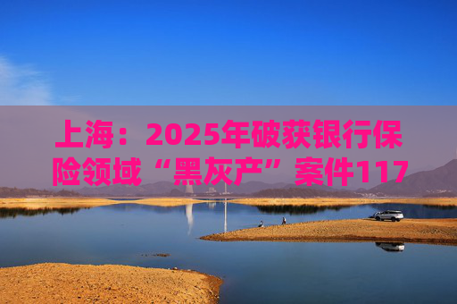 上海：2025年破获银行保险领域“黑灰产”案件117起 持续净化金融生态