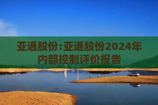 亚通股份:亚通股份2024年内部控制评价报告