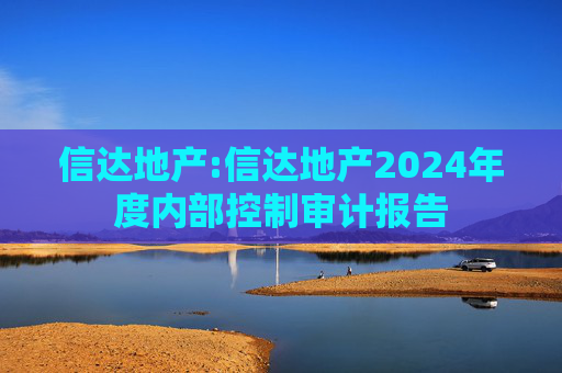 信达地产:信达地产2024年度内部控制审计报告  第1张