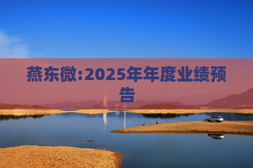 燕东微:2025年年度业绩预告