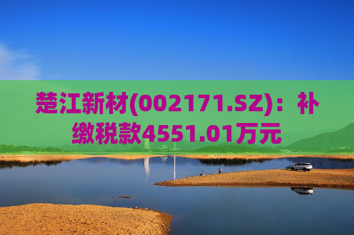 楚江新材(002171.SZ)：补缴税款4551.01万元