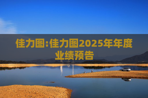 佳力图:佳力图2025年年度业绩预告