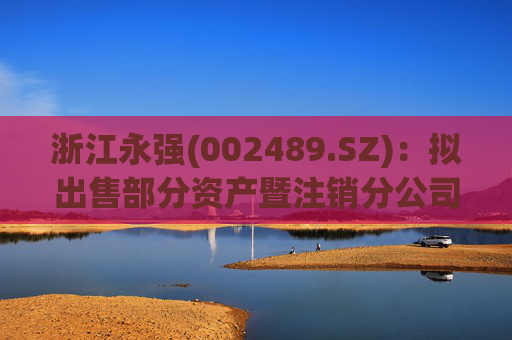 浙江永强(002489.SZ):拟出售部分资产暨注销分公司 第1张 浙江永强(002489.SZ):拟出售部分资产暨注销分公司 第1张