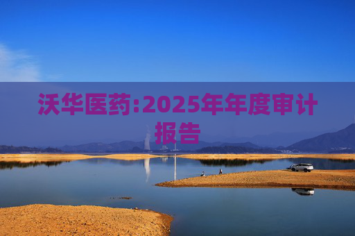 沃华医药:2025年年度审计报告