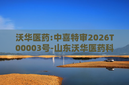 沃华医药:中喜特审2026T00003号-山东沃华医药科技股份有限公司-关联资金占用报告