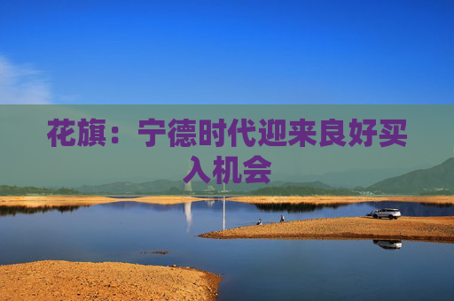 花旗：宁德时代迎来良好买入机会