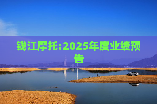 钱江摩托:2025年度业绩预告