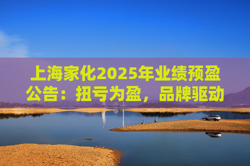 上海家化2025年业绩预盈公告：扭亏为盈，品牌驱动重回增长轨道  第1张