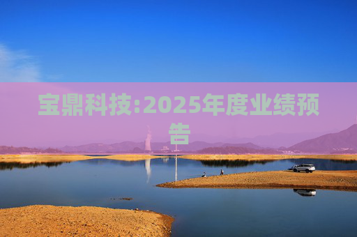 宝鼎科技:2025年度业绩预告