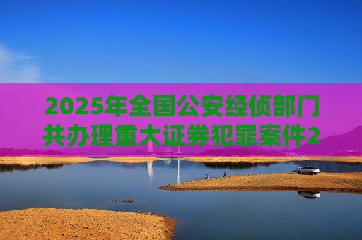 2025年全国公安经侦部门共办理重大证券犯罪案件200余起