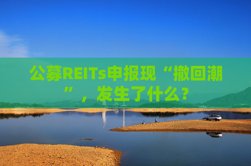 公募REITs申报现“撤回潮”，发生了什么？