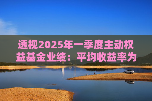 透视2025年一季度主动权益基金业绩:平均收益率为3.87% 机构专业管理能力价值凸显