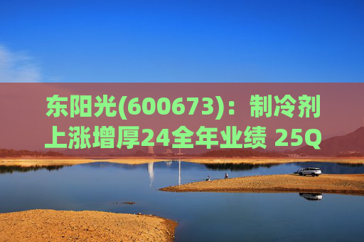 东阳光(600673)：制冷剂上涨增厚24全年业绩 25Q1业绩略超预期 液冷与具身智能共创未来