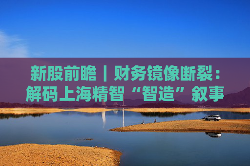 新股前瞻｜财务镜像断裂：解码上海精智“智造”叙事背后的增长逻辑悖论
