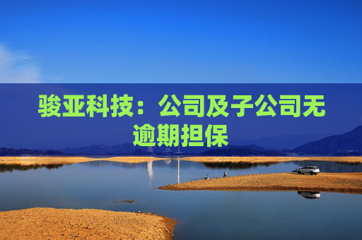 骏亚科技：公司及子公司无逾期担保