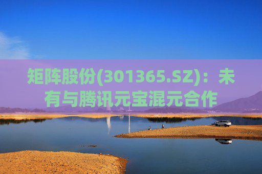 矩阵股份(301365.SZ)：未有与腾讯元宝混元合作