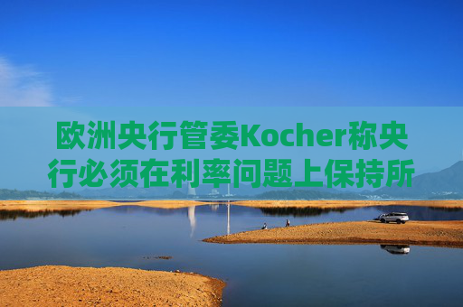 欧洲央行管委Kocher称央行必须在利率问题上保持所有选项开放  第1张