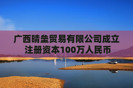 广西晴垒贸易有限公司成立 注册资本100万人民币