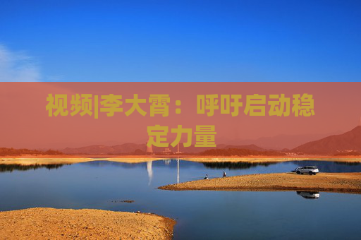 视频|李大霄：呼吁启动稳定力量