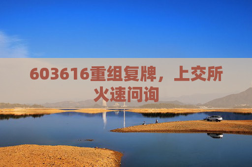 603616重组复牌，上交所火速问询