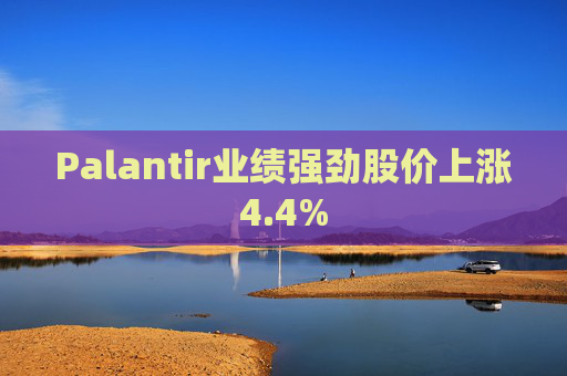 Palantir业绩强劲股价上涨4.4%