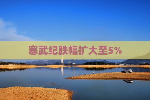 寒武纪跌幅扩大至5%