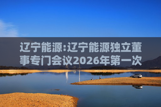 辽宁能源:辽宁能源独立董事专门会议2026年第一次会议决议