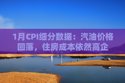 1月CPI细分数据：汽油价格回落，住房成本依然高企