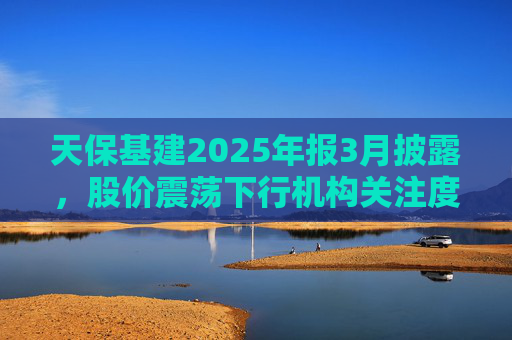 天保基建2025年报3月披露，股价震荡下行机构关注度低