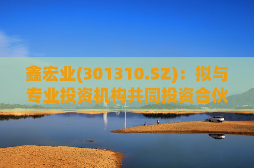 鑫宏业(301310.SZ)：拟与专业投资机构共同投资合伙企业