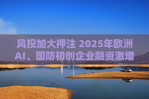 风投加大押注 2025年欧洲AI、国防初创企业融资激增  第1张