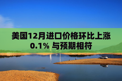 美国12月进口价格环比上涨0.1% 与预期相符