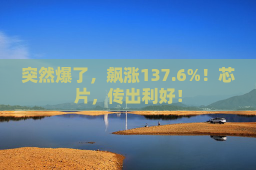 突然爆了，飙涨137.6%！芯片，传出利好！