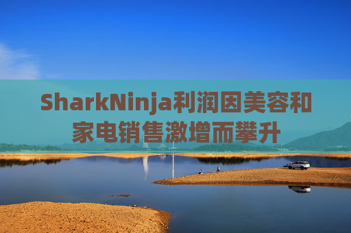SharkNinja利润因美容和家电销售激增而攀升