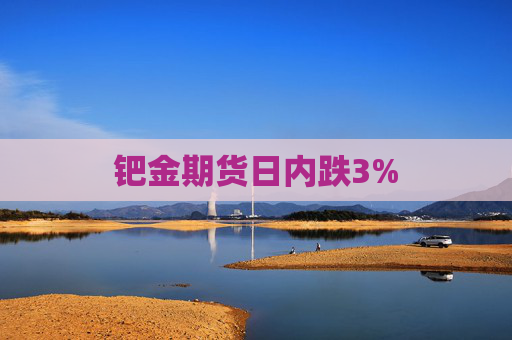 钯金期货日内跌3%