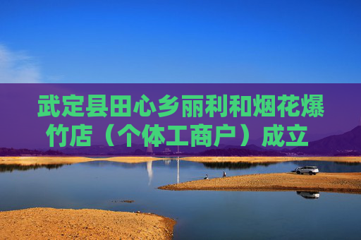 武定县田心乡丽利和烟花爆竹店（个体工商户）成立 注册资本20万人民币