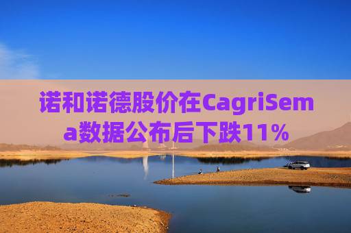 诺和诺德股价在CagriSema数据公布后下跌11%  第1张