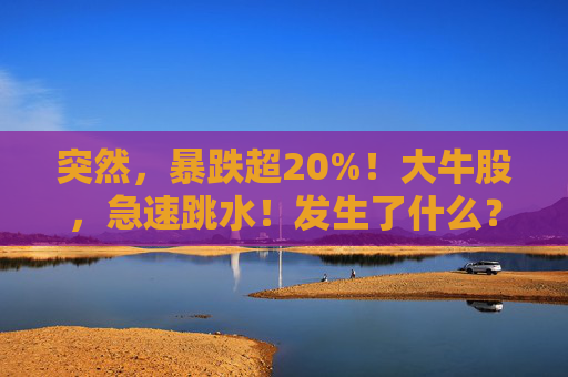 突然，暴跌超20%！大牛股，急速跳水！发生了什么？