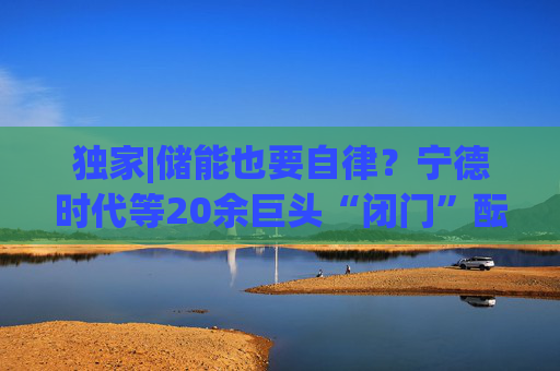 独家|储能也要自律?宁德时代等20余巨头“闭门”酝酿倡议