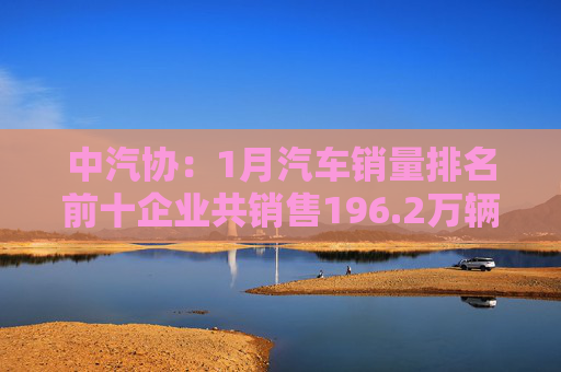 中汽协：1月汽车销量排名前十企业共销售196.2万辆
