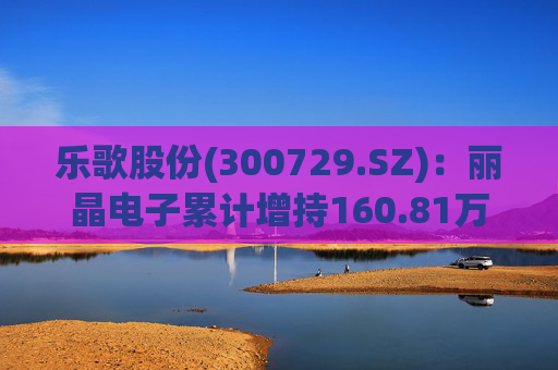 乐歌股份(300729.SZ)：丽晶电子累计增持160.81万股