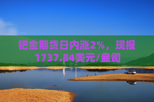 钯金期货日内涨2%，现报1737.84美元/盎司