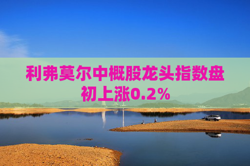 利弗莫尔中概股龙头指数盘初上涨0.2%